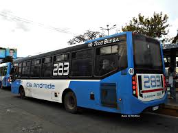 colectivo