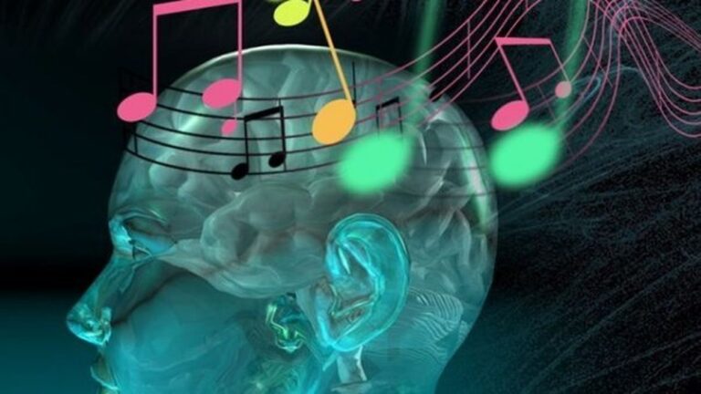 cerebroMUSICA_1665743420_2690681_1300x731