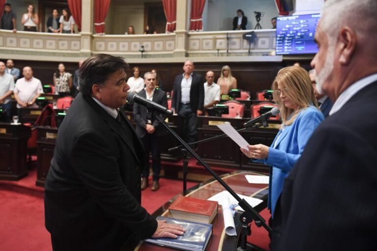 mario-ishii-senado-bonaerense-1068x712